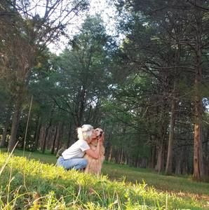 Meet your Posher, Ginger